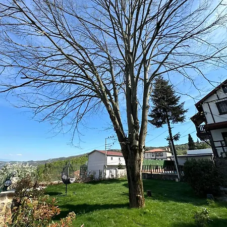 Villa Gueler Bey Konagi
